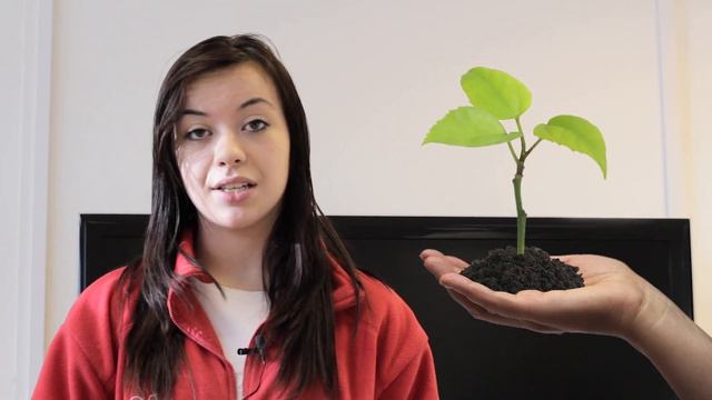 ADVANTAGES OF LAMINATE FLOORING смотреть онлайн