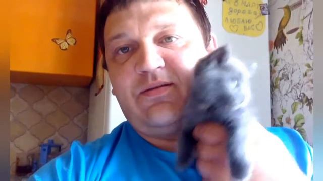 УТРО,ПЬЁМ КОФЕ,И РЯДОМ КОТ ТИМОШКА! смотреть онлайн