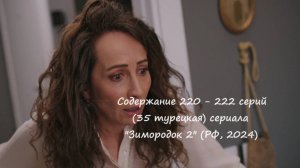 Содержание 220 - 222 серий (35 турецкая) второго сезона сериала "Зимородок" (РФ, 2023 / 2024)