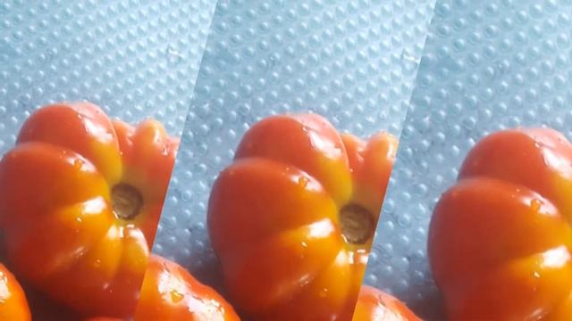 Мои томаты, кусочек лета, Котя, брисколино, двойной восторг, черри блюз, флорентийская красавица смотреть онлайн