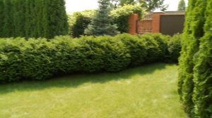 Ландшафтные хитрости