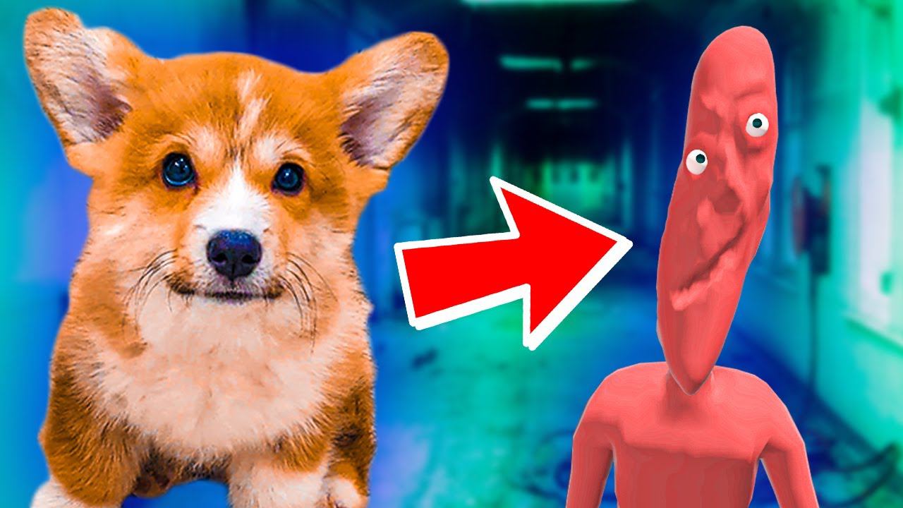 Я - МОНСТР ИЗ КИНОТЕАТРА!!! (Корги Коржик) Говорящая собака смотреть онлайн