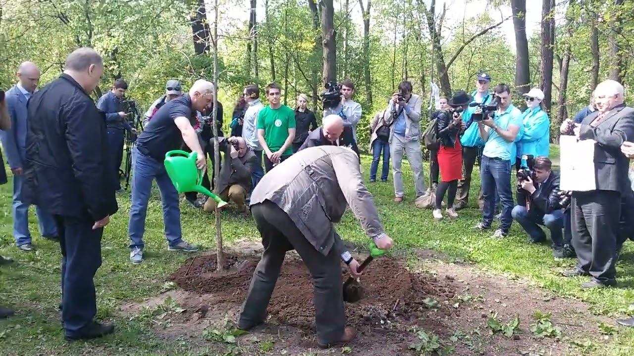 День посадки леса 14 05 2016г Губернатор Санкт Петербурга Г.С . Полтавченко в парке СПбГЛТУ смотреть онлайн