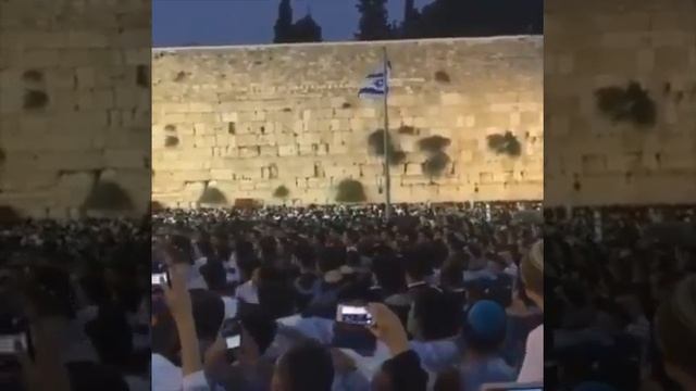 WE Want Moshiach Now!! Иерусалим. Эрец Исраэль. смотреть онлайн
