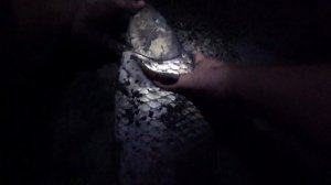 Рыбалка ночью. Большой сазан на макушатник