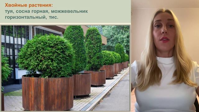 Kontejnernoe-ozelenenie.kak-sozdat-sad-v-kaspo-i-vazonah - смотреть видео онлайн от «channel36597164