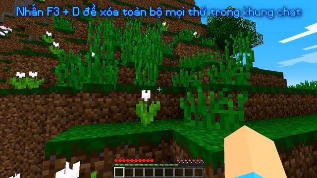 Công dụng của các tổ hợp phím F3 trong minecraft смотреть онлайн