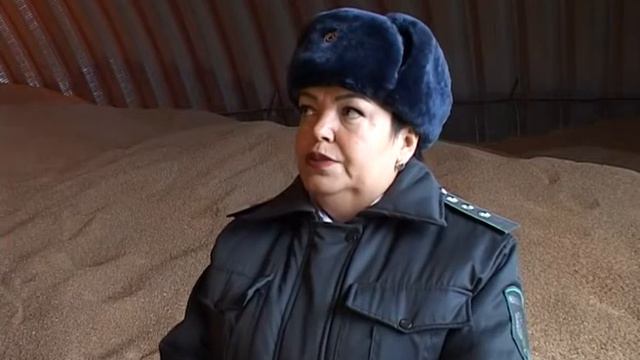 Зерно 14 12 2017 смотреть онлайн