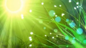 Царь всех мантр, дарует богатства и все блага практикующему ее Сильная мантра Благополучия