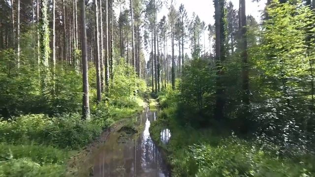 На сороковой день в дом зашла умершая мать. От увиденного у дочери чуть не остановилось сердце. смотреть онлайн