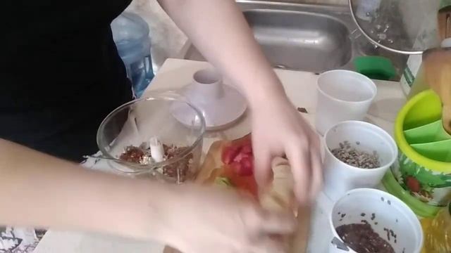 Животные в Зоопарках