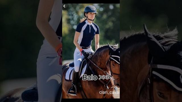 Baio💘❤️ #riding #horse #edit смотреть онлайн