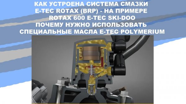КАК УСТРОЕНА СИСТЕМА СМАЗКИ E-TEC ROTAX (BRP) - НА ПРИМЕРЕ ROTAX 600 E-TEC SKI-DOO #anton_mygt