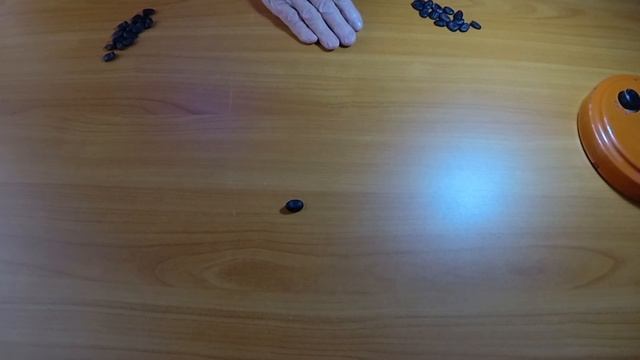 Исполнится ли желание? Гадание на бобах. Субботнее гадание.#5 смотреть онлайн