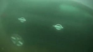 Машина ушла под воду