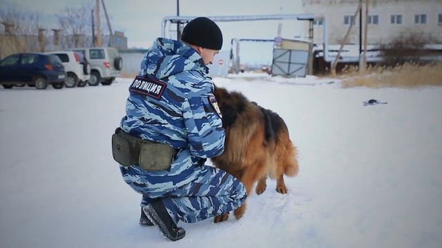 Проект "Профессия - полицейский": Инспектор-кинолог Василий Шматов смотреть онлайн