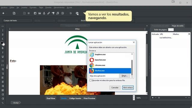 17 Tutorial de Bluegriffon 2.x y 3.x. Contenedor Picture y Formatos gráficos emergentes. смотреть онлайн