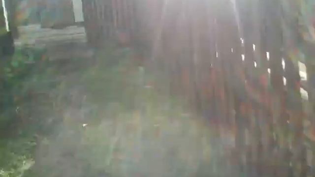 Любовь с первого взгляда смотреть онлайн