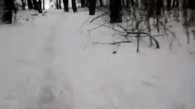 Никогда не повторять! Трюк выполнен специалистами 18+ спуск со снегоката snow&fire смотреть онлайн