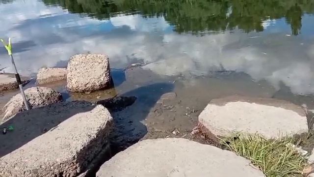 Отдых на природе/Идём на речку отдыхать и ловить рыбку смотреть онлайн