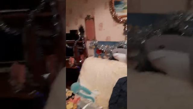 Отметили новый 2021 год ,Новый год разных стран мира, #новыйгод #гимнРоссии #годбыка2021?