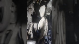 ремонт гбц 4 д 56  дэлика разборка по этапно