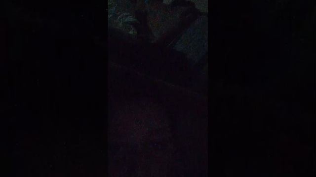 дуплекс пи шити ойди