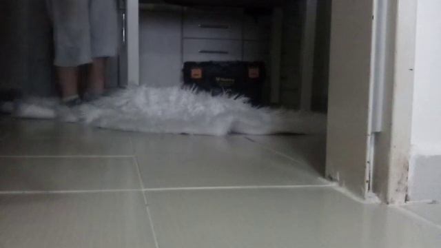 Ali Efe plastik şişe ile denk ettirmeye çalışıyor смотреть онлайн