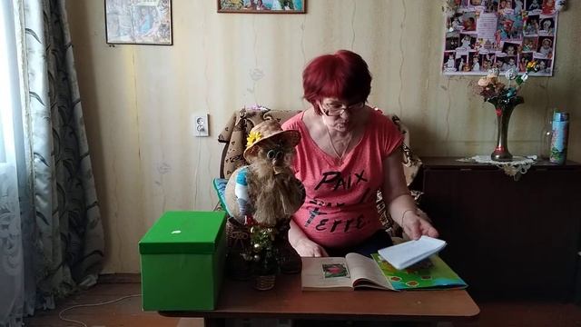 Познавательное развитие "В гостях у диких животных" смотреть онлайн