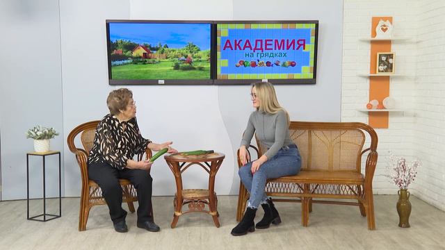 «Академия на грядках» 14 февраль 2024 г. смотреть онлайн