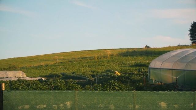 Our favorite temple in Germany смотреть онлайн