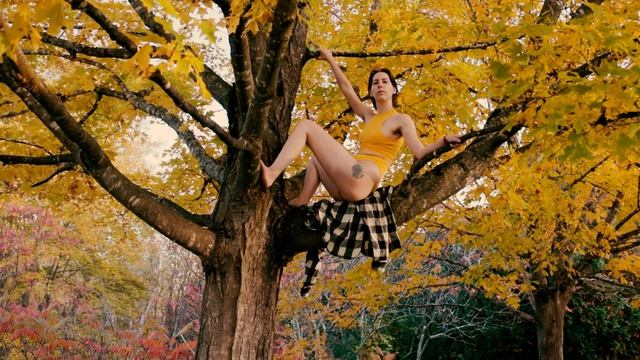 Life Drawing Poses in a Tree? Look Up! | Timed Figure Drawing Pose Reference For Creatives смотреть онлайн