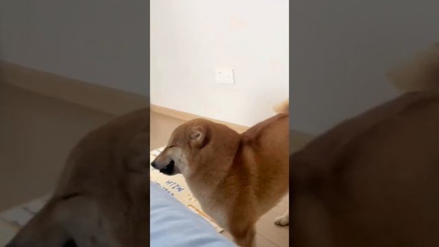 И улыбаемся? смотреть онлайн