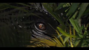 Jurassic World Evolution 2. №23 - Теория Хаоса (Мир Юрского Периода) - #6