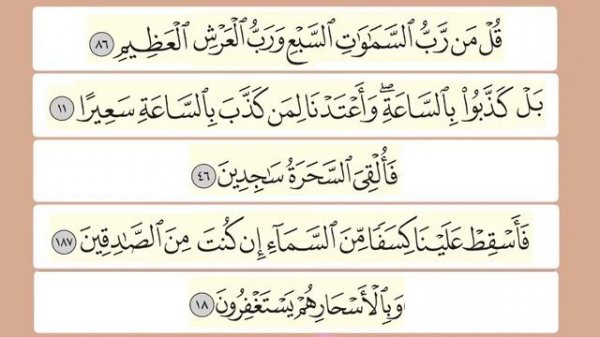 Махрадж букв | Урок №12| Буква - "س"