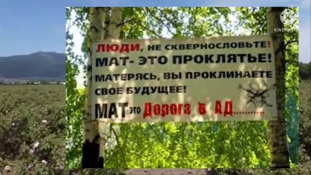 Инструкции по Творчеству