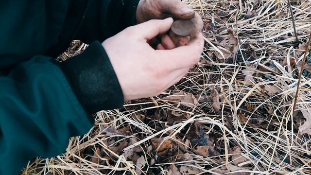 ОФИГЕТЬ! СЕРЕБРО валяется прямо под ногами! Нашёл её у старого дуба. Поиск с металлоискателем смотреть онлайн