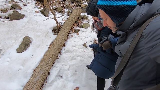 КАНАДА ЗИМОЙ ❄️ водопады Онтарио + внезапный хайкинг + фиш-энд-чипс | ВЛОГ Жизнь в Канаде | Торонто смотреть онлайн