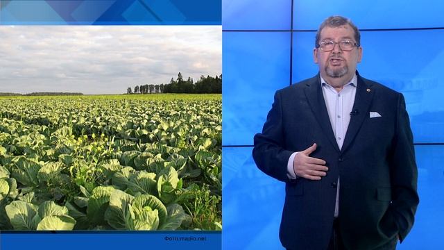 СУТЬ ДЕЛА - "Острая овощная недостаточность"