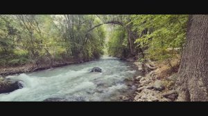 "Разговор с отцом" Илья Зудин #NEFORMAT