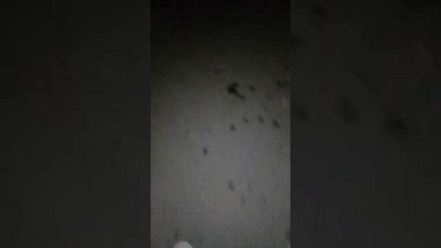 Что будет если закинуть самую кислую конфету в энергетик!2 часть смотреть онлайн