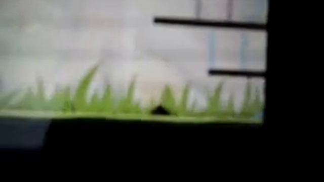 Свин в angry birds прикольно сказал хрю смотреть онлайн