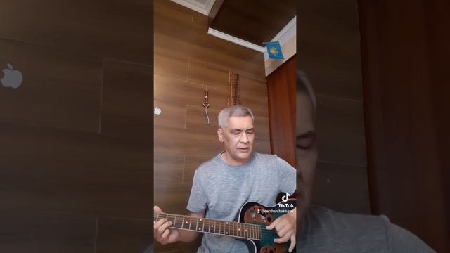 Авторская Мы казахи. реммикс. смотреть онлайн
