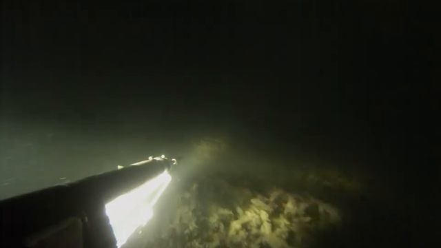 Ночная подводная охота на сомика в Астрахани. смотреть онлайн