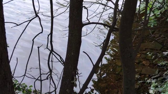 VID 20220708 184958 Тревога (А. Блок)...Павел Васильев Лахтинский смотреть онлайн