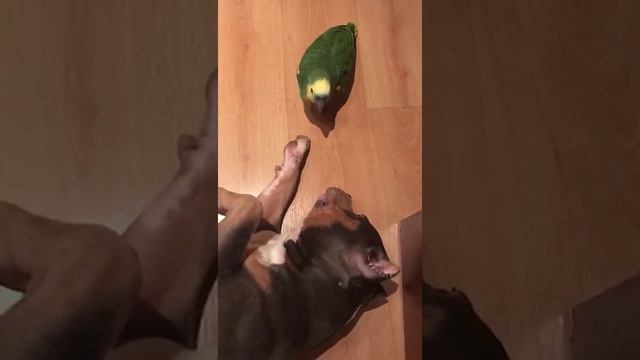 Буня на маникюре смотреть онлайн