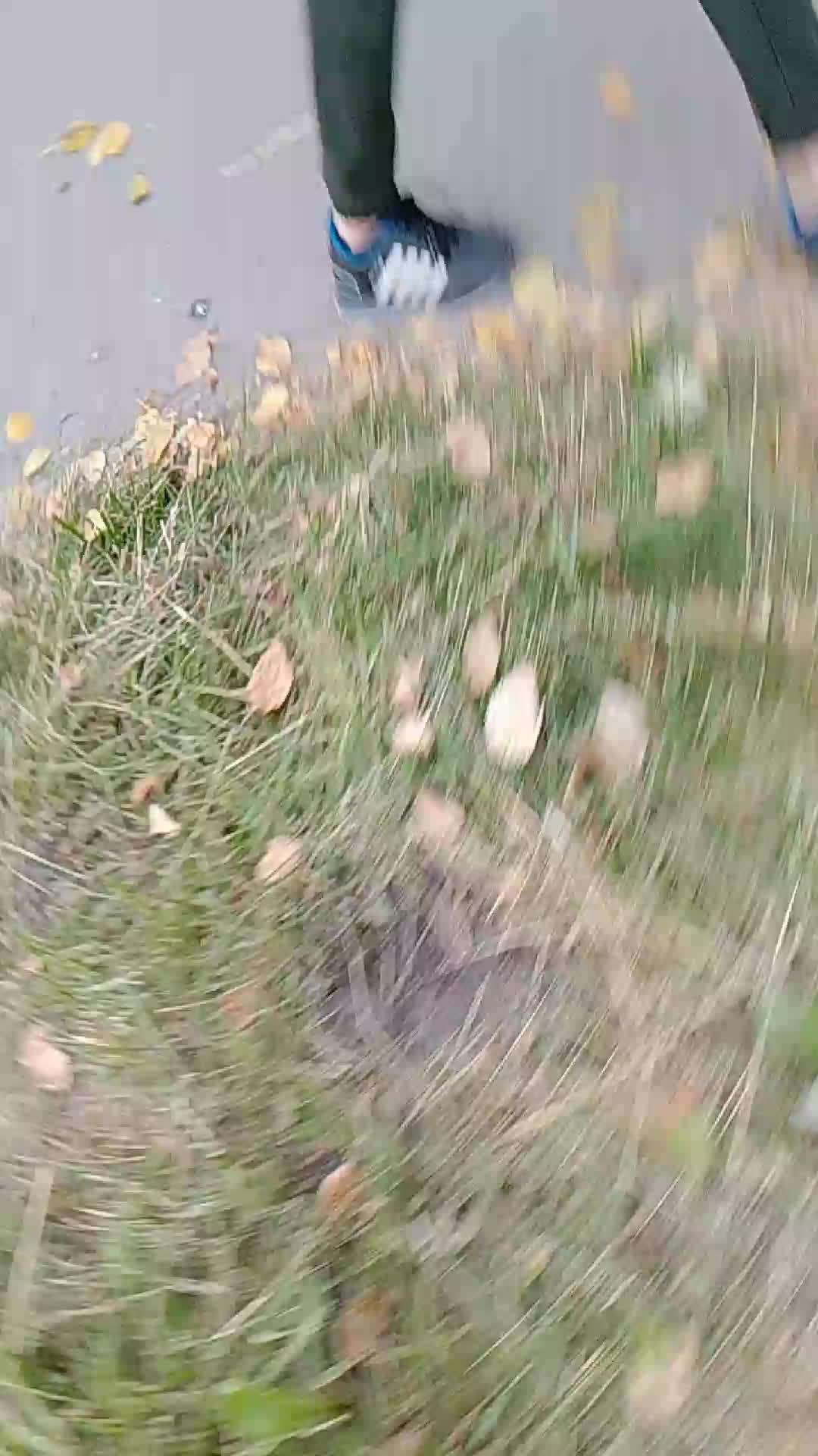 плп смотреть онлайн