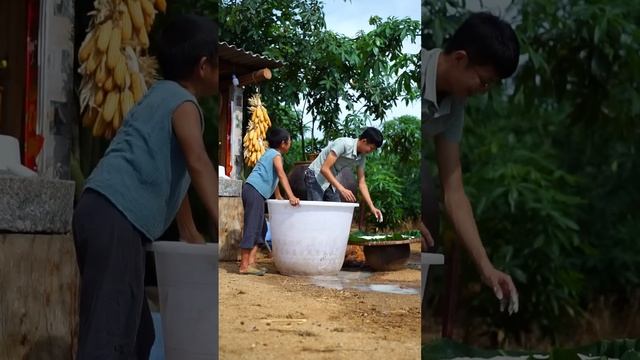 芬芳的泥土里藏着各种的农作物，也藏着我们农村人踏实的幸福 смотреть онлайн