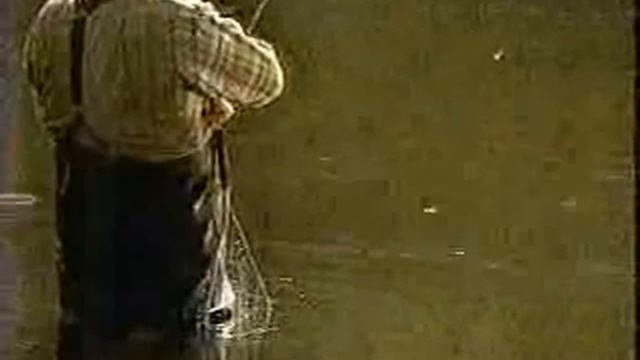 KAPP commercials, 2/18/2001 смотреть онлайн