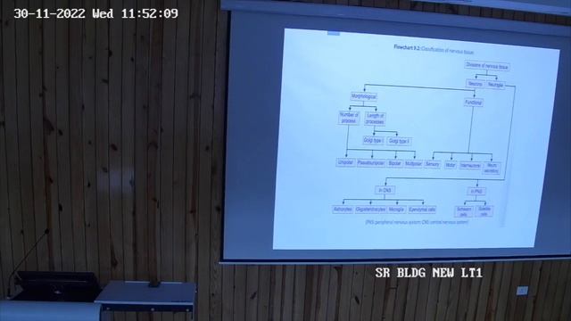 Derivatives of neural crest cells смотреть онлайн